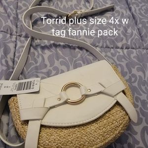 Fannie pack